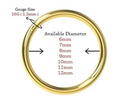Hinged Segment 18K Gold Nose Piercing Classic 6-12mm Dimension